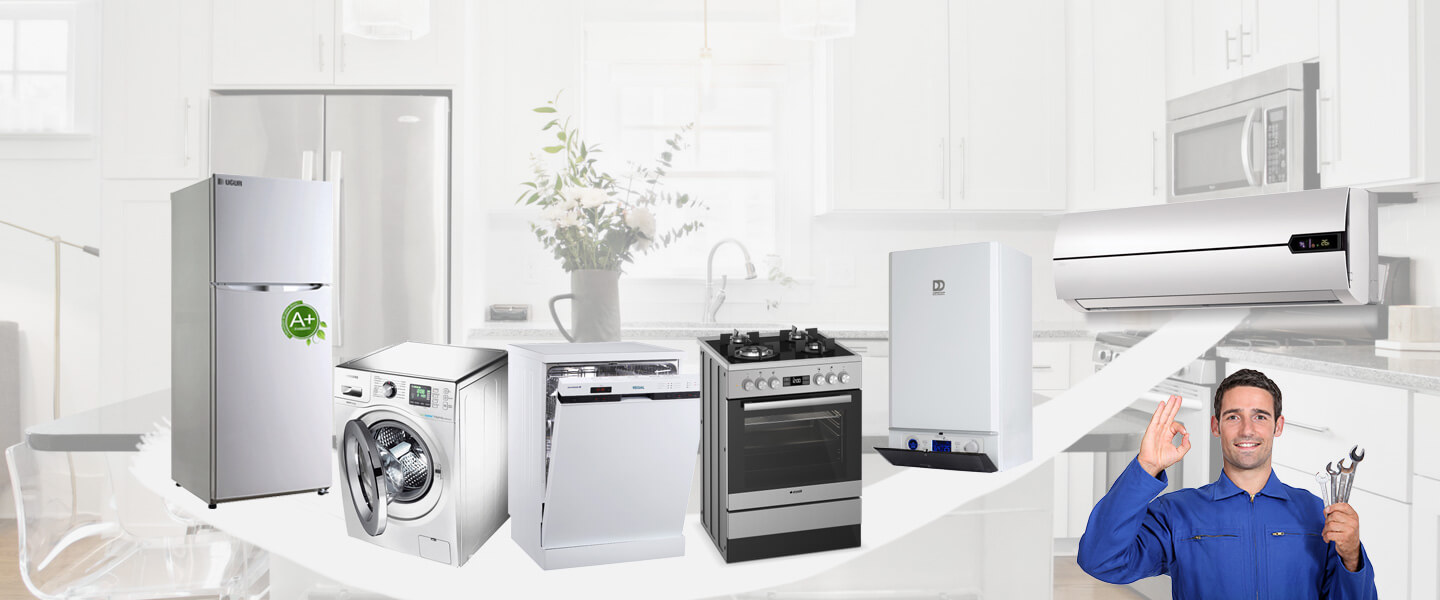 Buruncuk Smeg Servisi